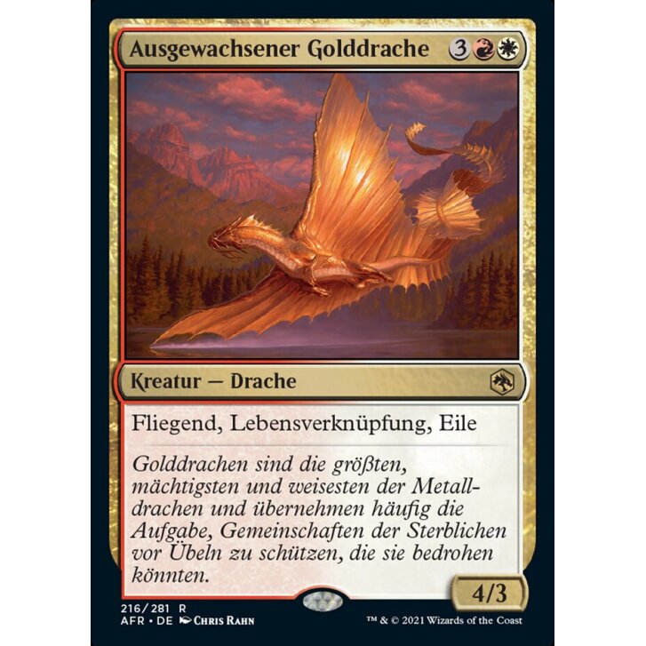 Ausgewachsener Golddrache